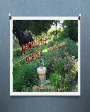 Grow Little Garden