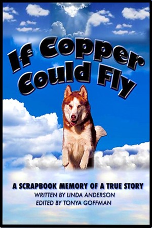 If Cooper Could Fly
